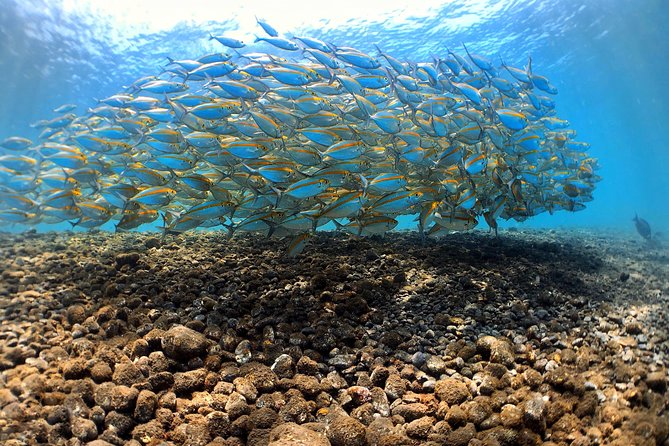 Fun Diving Tulamben Bali - For Certified Divers - Guides and the human side of the operation