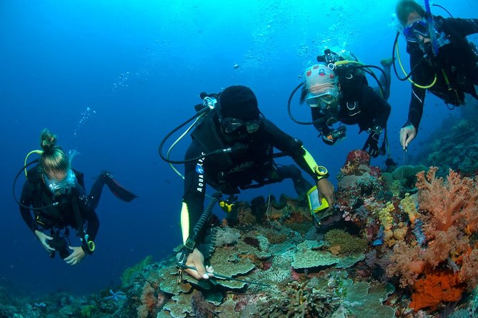 Fun Diving Tulamben Bali - For Certified Divers - Entering the water at Tulamben beach