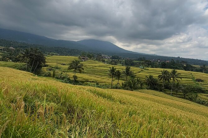 GAD Tanah Lot Tour - Ulun Danu Beratan beside the crater lake