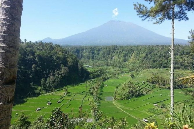 Gate Heaven Lempuyang Tirta Gangga East Bali Private Guided Tour - Is $36.16 per person good value?