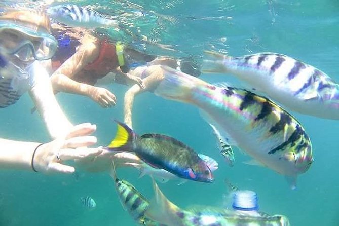Gate Heaven Tirta Gangga With Snorkeling Private Guided Tour - Blue Lagoon and Tanjung Jepun beneath the surface