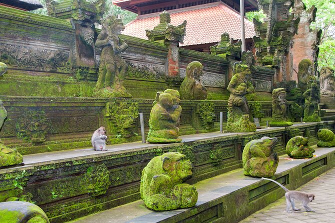Goa Gajah / Elephant Cave Temple And Ubud Tour - All Inclusive - What the $95 price includes