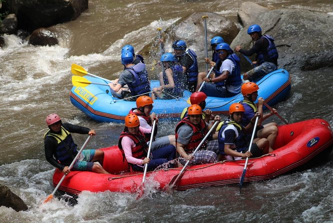 Green Bali Rafting Ticket And Transfer - What the Price Includes at $23.07