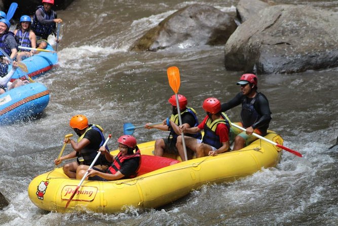 Green Bali Rafting Ticket And Transfer - Who Will Enjoy This Most