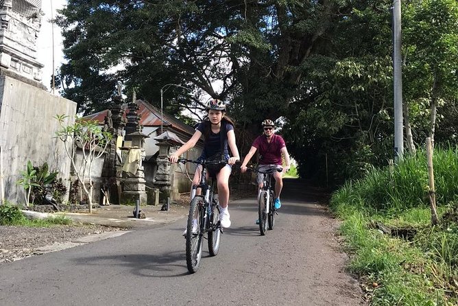Half Day Cycling Tour ( Manual Bike ) - Rice fields and Bali’s irrigation system