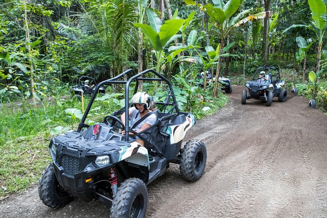 Half Day Jungle Buggies in Bali with Guide - The early pickup from Kuta