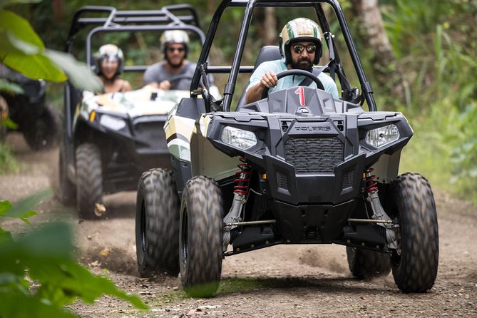 Half Day Jungle Buggies in Bali with Guide - What the $57 price really covers