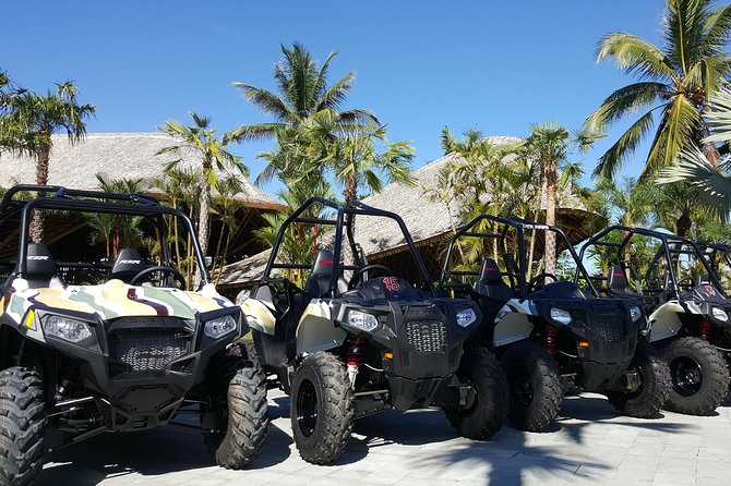 Half Day Jungle Buggies in Bali with Guide - Is this Bali buggy tour worth booking?
