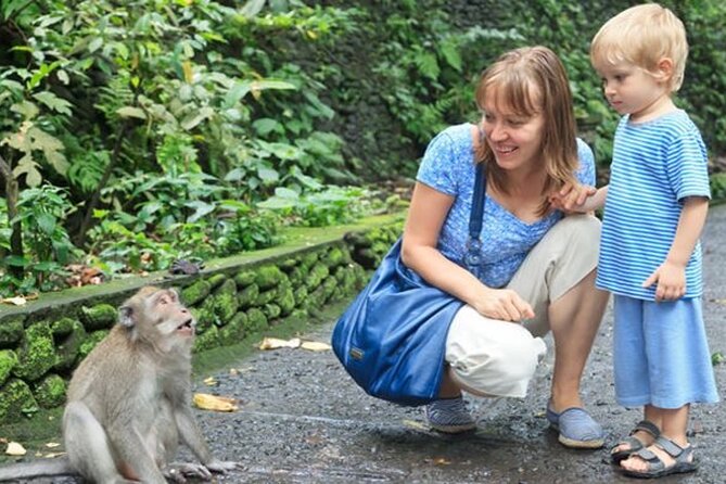 Half Day Private Tour in Ubud - Tirta Empul Temple and Balinese purification