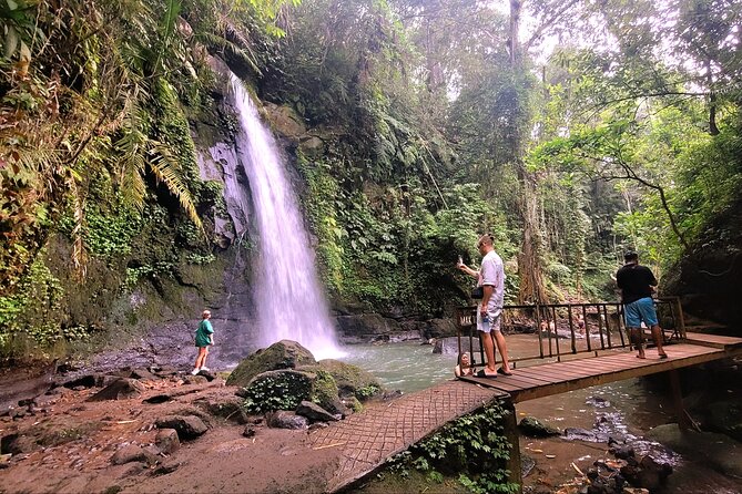 Half Day Tour Ubud Rice Terrace with Activities and Waterfall - Why this half-day trip works for a short Ubud stay