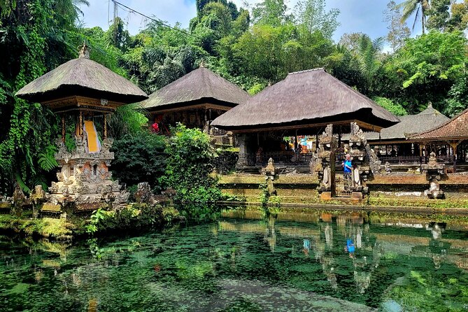 Half Day Tour Ubud Rice Terrace with Activities and Waterfall - What the private vehicle adds