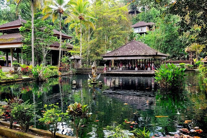 Half Day Tour Ubud Rice Terrace with Activities and Waterfall - Who should book this Ubud outing