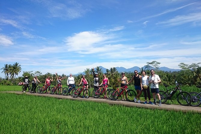 Half-Day Ubud Electric Cycling Tour to Tirta Empul Water Temple - Starting at 8:00 am near Laplapan