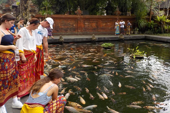 Half-Day Ubud Electric Cycling Tour to Tirta Empul Water Temple - What the ride feels like for different fitness levels