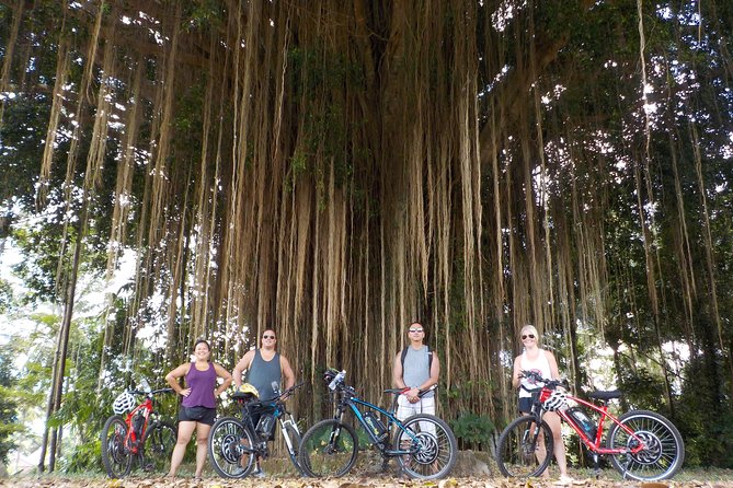 Half-Day Ubud Electric Cycling Tour to Tirta Empul Water Temple - Reaching Tirta Empul Water Temple
