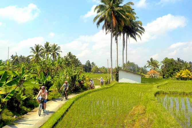 Half-Day Ubud Electric Cycling Tour to Tirta Empul Water Temple - Is $49 a fair price?
