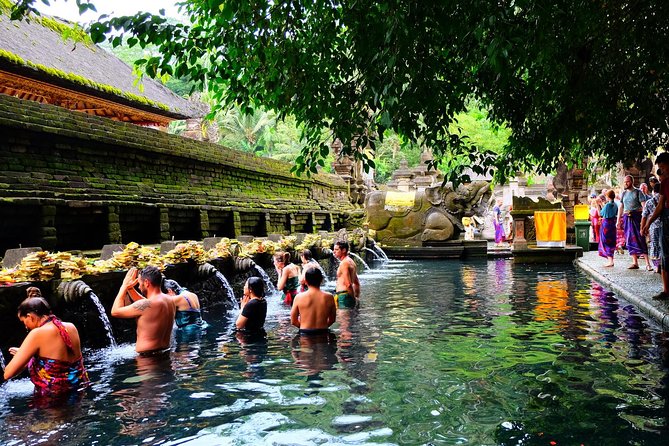 Half-Day Ubud Electric Cycling Tour to Tirta Empul Water Temple - Who should book this experience?