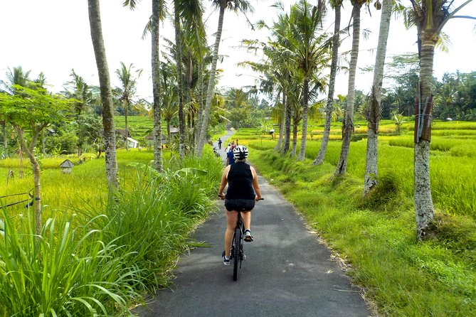 Half-Day Ubud Electric Cycling Tour to Tirta Empul Water Temple - Riding through rice fields and village roads
