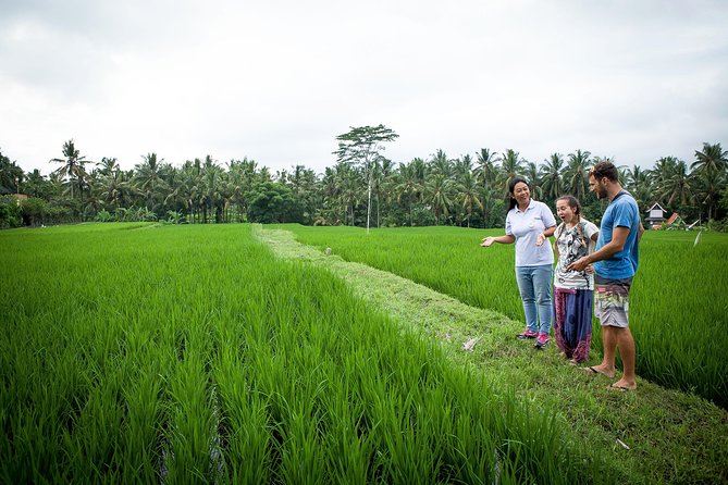Half-Day Ubud Heritage Food Tour - Starting with Balinese food at 8:00 am