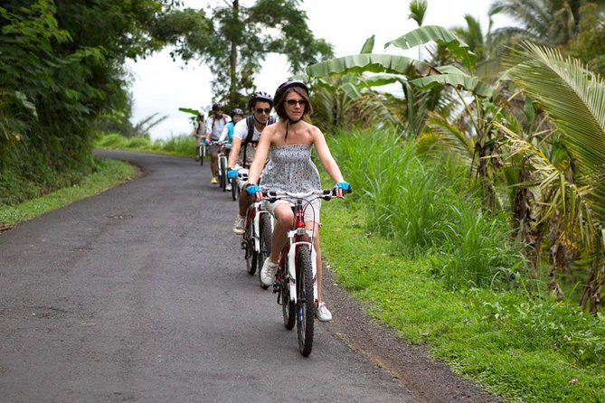 Half-Day Ubud Rice Field and Village Cycling Tour - From Mount Batur’s slopes toward Ubud