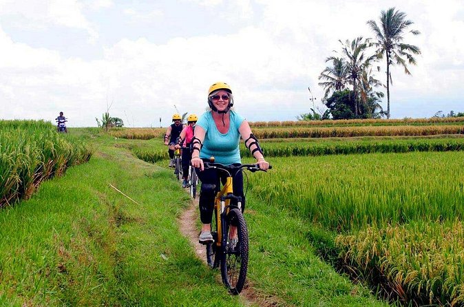 Half-Day Ubud Rice Field and Village Cycling Tour - A family compound and everyday Balinese life