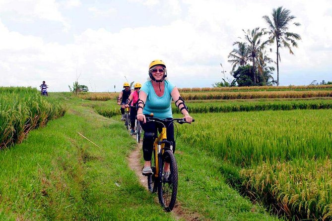 Half-Day Ubud Rice Field and Village Cycling Tour - Finishing with a Balinese lunch