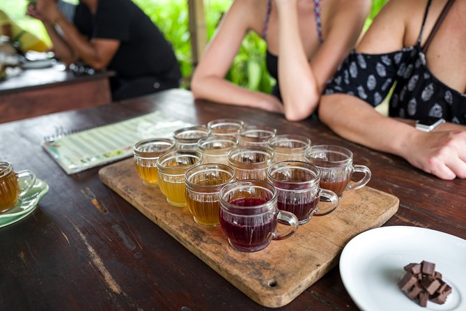 Half-Day Ubud Rice Field and Village Cycling Tour - What the $41.03 price really covers