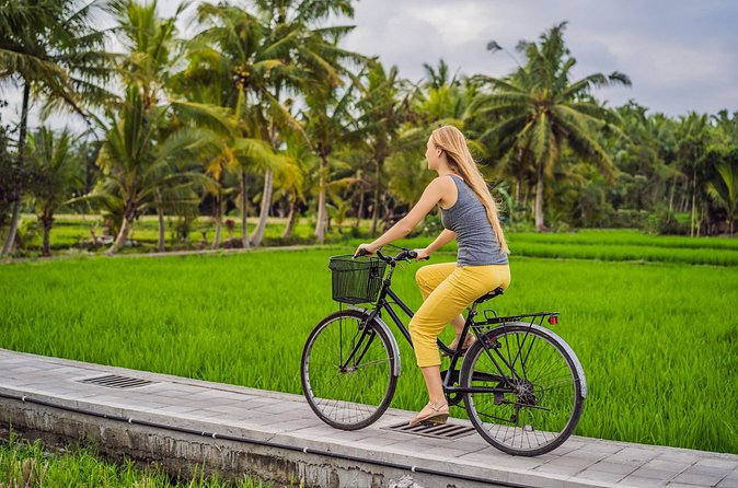 Half-Day Ubud Rice Field and Village Cycling Tour - Who should book this ride
