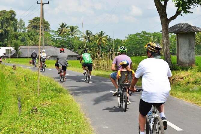 Half-Day Ubud Rice Field and Village Cycling Tour - Getting set up with Sujaya, Eddie, or Bagus