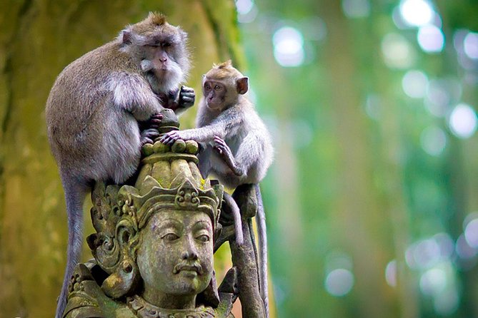 Half Day Ubud Tour: Ubud Unique Spots - Forty-five minutes at Ubud’s traditional art market