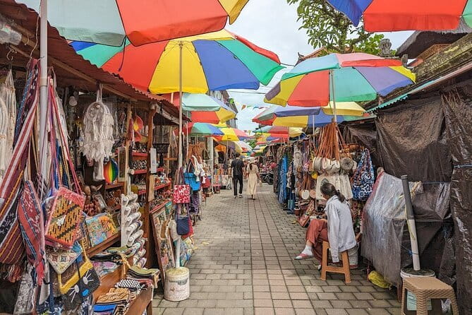 Half Day Ubud Village Private All Inclusive Tour - Private transport and driver service