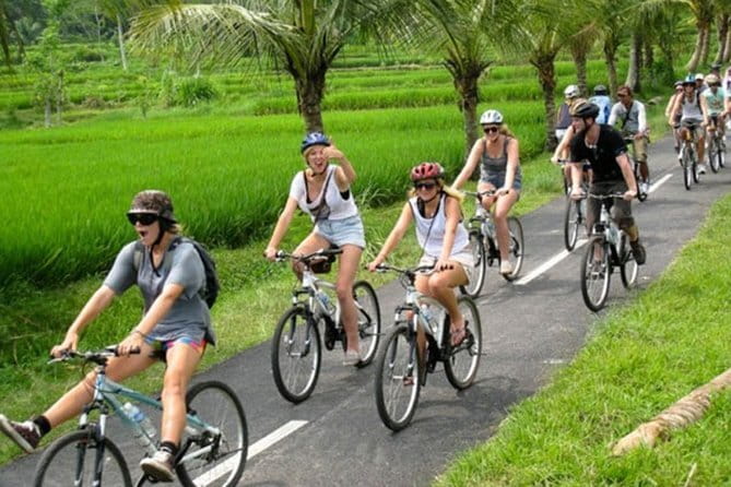 Halo Bike Cycling Tour Downhill - Why this ride shows you a different Bali
