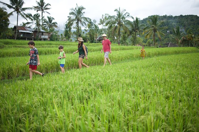 Haunted Valley Waterfall ATV and Bike Tour - The Munduk base and your morning start