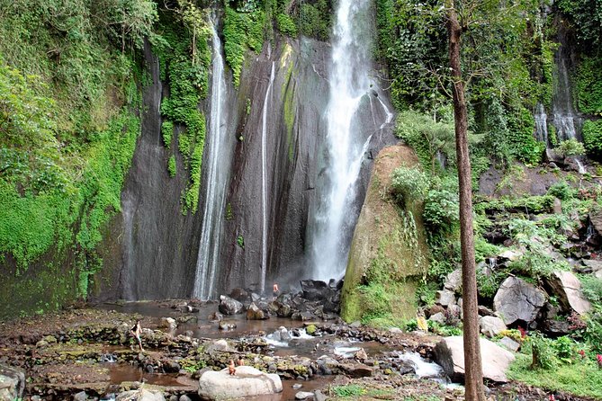 Haunted Valley Waterfall ATV and Bike Tour - The bike ride through rice fields and villages