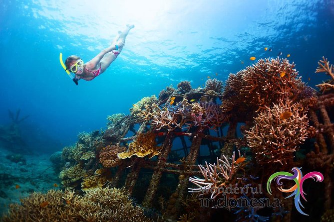 Have fun 1 day in Nusa Penida: snorkeling, kelingking & broken beach incl lunch - Key points at a glance