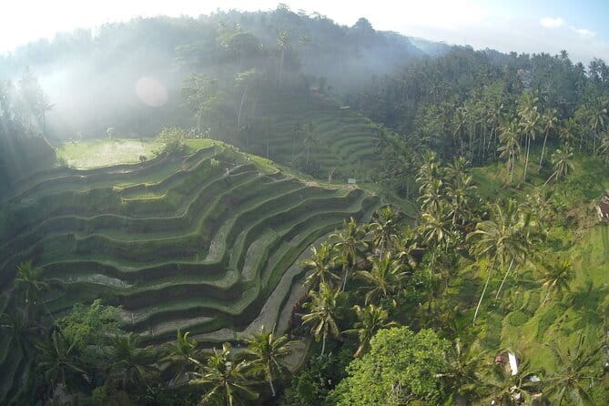 Hidden North Waterfall Bali All inclusive - Banyu Wana Amertha has several water streams