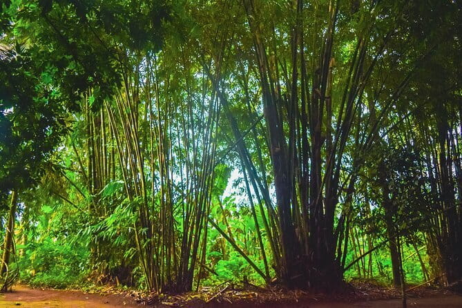 Highlight of Bali Tour - What this Bali highlights tour really covers