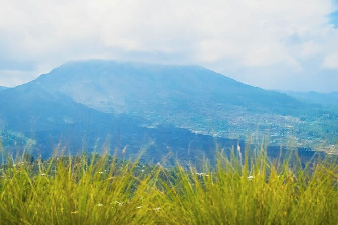 Highlight of Bali Tour - Sri Batu’s coffee, fruit, herbs, and spices