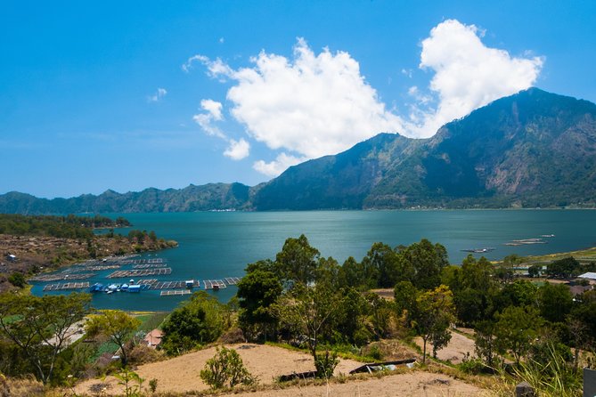 Highlights of Ubud & Mount Batur Volcano - Private Day Trip - Monkey Forest: atmospheric, entertaining, and best approached carefully