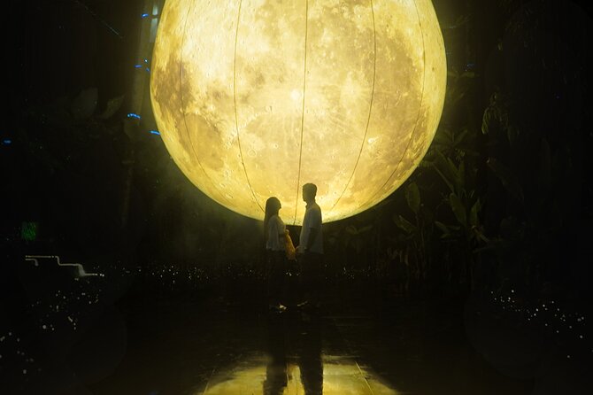Hikaria: Bali's First Immersive Night Walk - Who will enjoy Hikaria most?