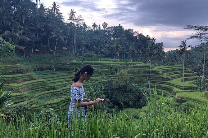 Hire Bali Driver for 10-hour (Bali as You Please) - North Bali views and the Bedugul route