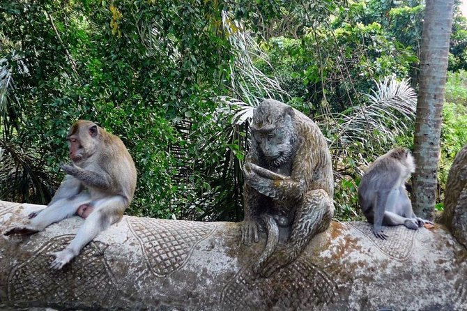 Hire Bali Driver for 10-hour (Bali as You Please) - Timing, comfort, and what to bring
