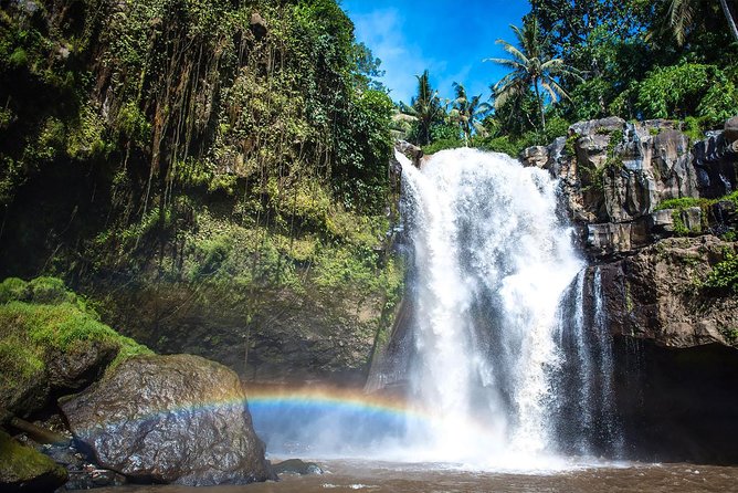 Hire Private Bali Driver - The Real Value of $40 Per Person