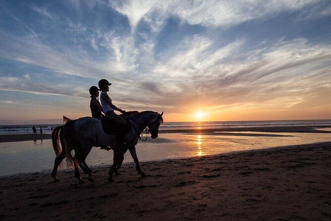 Horse Riding on the Black Sand Beach and Free Hotel Transfers - Key points before you book