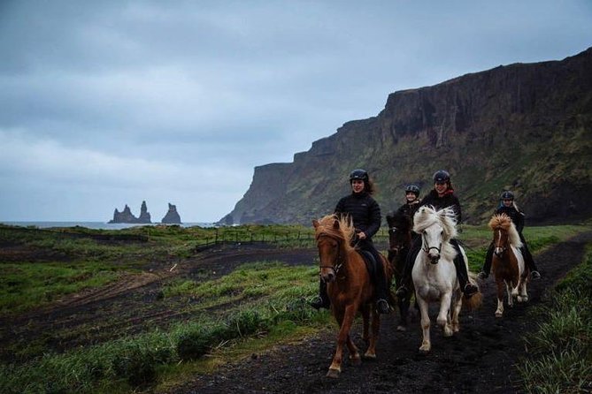Horse Riding on the Black Sand Beach and Free Hotel Transfers - What the guide and staff contribute