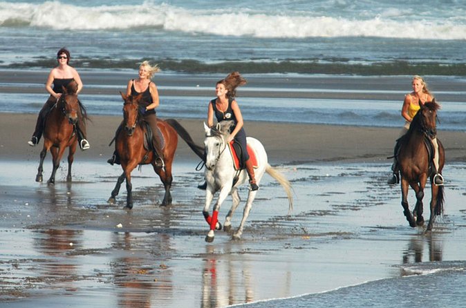 Horse Riding on the Black Sand Beach and Free Hotel Transfers - Practical details that matter on the day