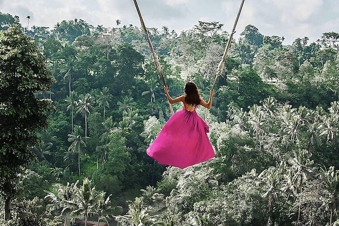 Individual Bali Day Trip with Private Driver and Free WiFi - South Bali: beaches, cliffs, and Uluwatu