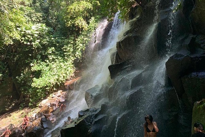 Individual Bali Day Trip with Private Driver and Free WiFi - Ubud: temples, rice fields, and a better pace