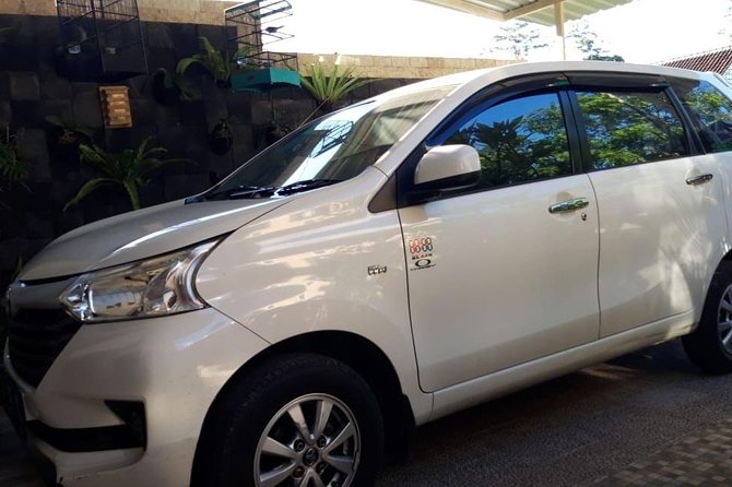 Individual Bali Day Trip with Private Driver and Free WiFi - North Bali and central Bali: beautiful, but slow