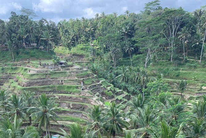 Individual Bali Day Trip with Private Driver and Free WiFi - East Bali and the Gate of Heaven